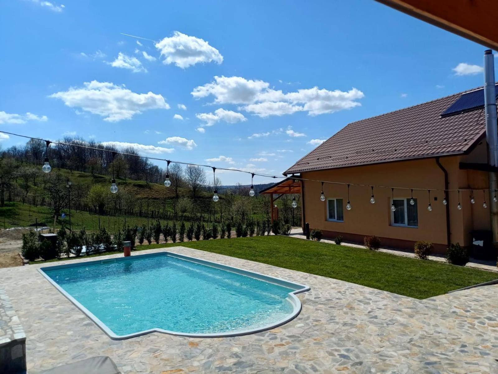 Casa De Vacanta Cu Piscina Incalzita&Jacuzzi Pietrari Luaran gambar